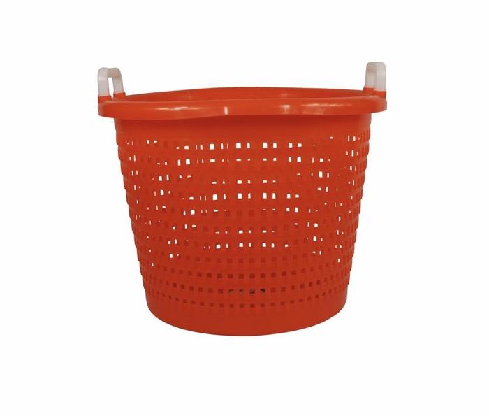 Joy Fish Multi-Use Basket