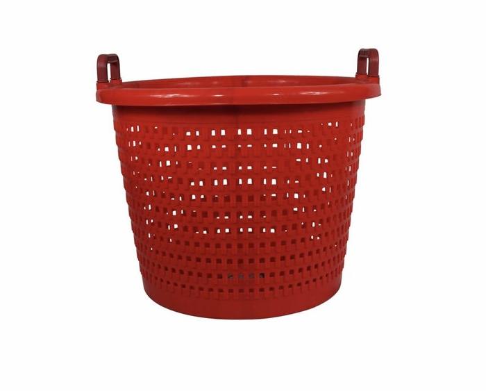 Joy Fish Multi-Use Basket