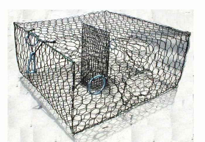 Joy Fish Blue Crab Trap Low Boy 24" X 24" X 11" Vinyl Coated Black