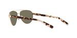 Costa Del Mar Fernandina Sunglasses