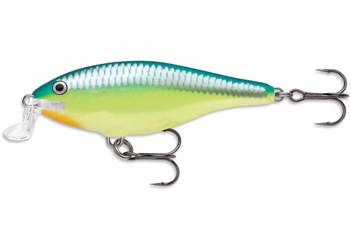 Rapala Shallow Shad Rap