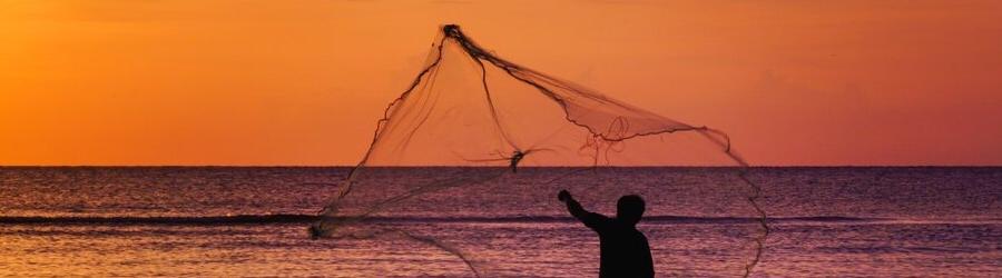 Cast Nets