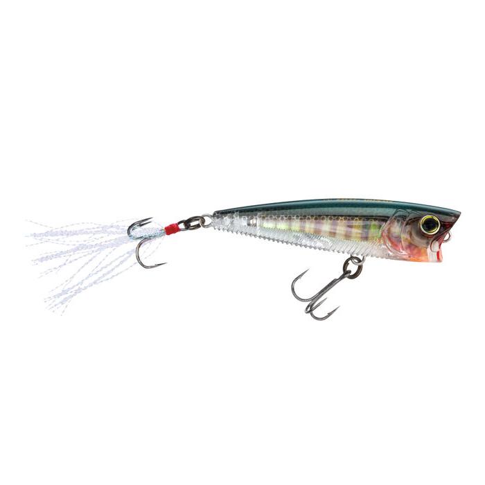 Yo-Zuri 3DB Popper