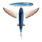 Nomad Design Slipstream Flying Fish Lure